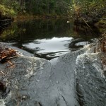 Notched Beaver Dam