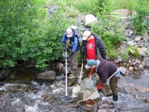 Electrofishing Barrack's Brook on the Sevogle for the presence of juvenile salmon Electrofishing Barrack's Brook on the Sevogle for the presence of juvenile salmon