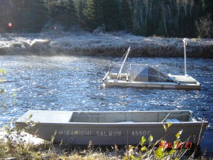 MSA Smolt Wheel and Scow